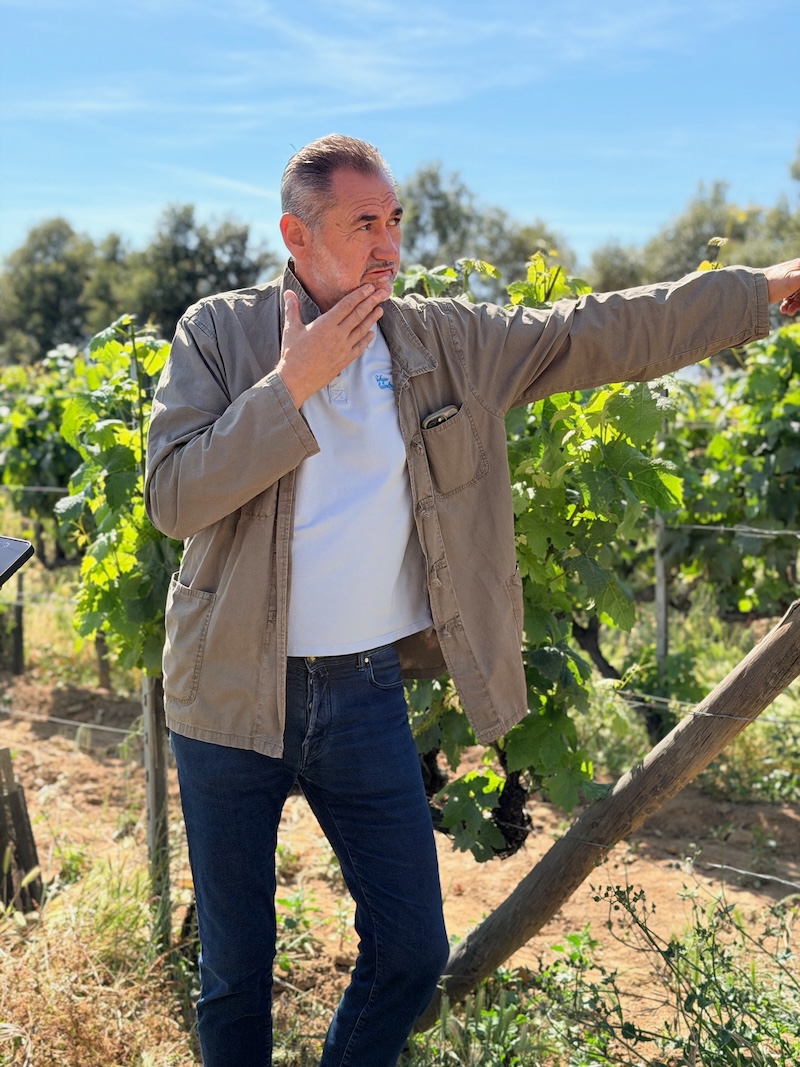 Étienne Suzzoni, proprietario della Cantina Culombu