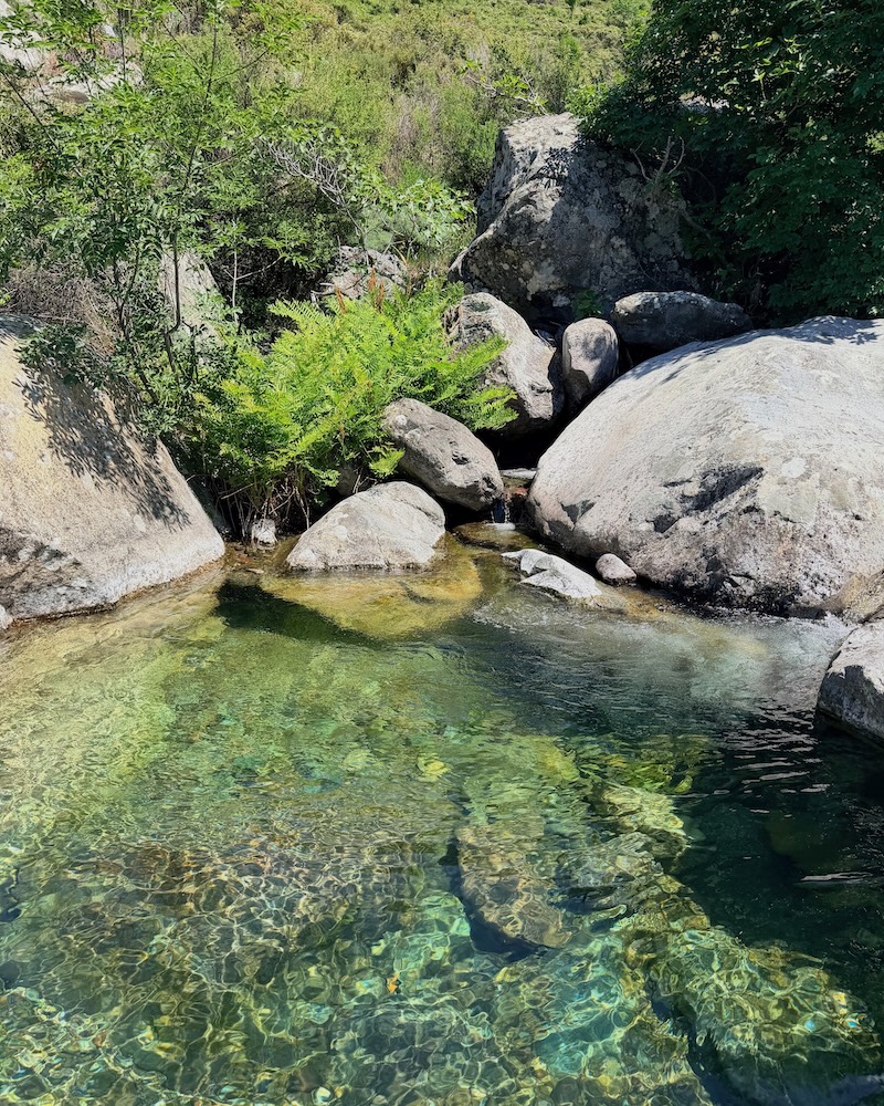 Escursione naturalistica nel domaine A Flatta