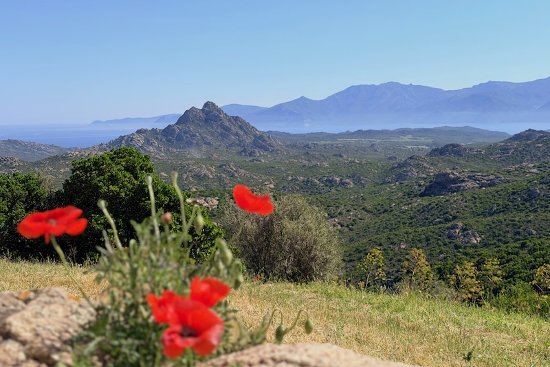 Paesaggio montano in Balagne