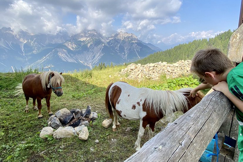 Malga Forni.