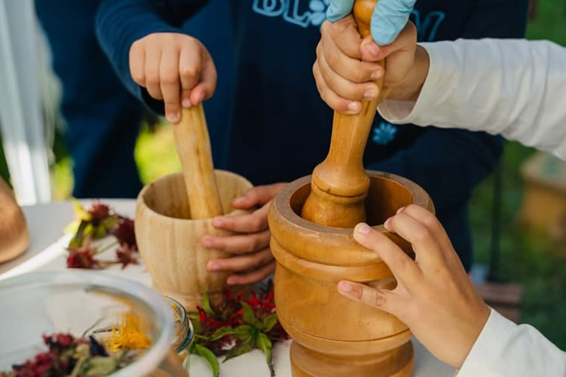 Laboratori con le erbe per bambini a Sappada