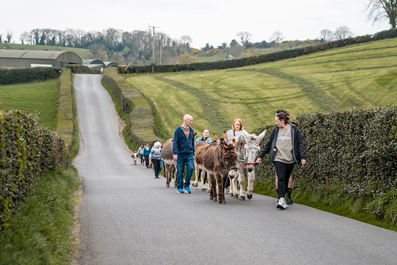 Passeggiata con asinelli © Lewis Mason for Kinedale Donkeys