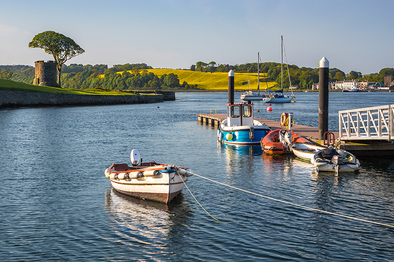 Strangford Village © Bernie Brown
