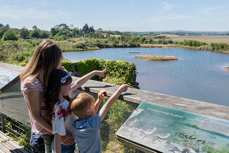 Area naturalistica Castle Espie Wetland Centre © Tourism Ireland