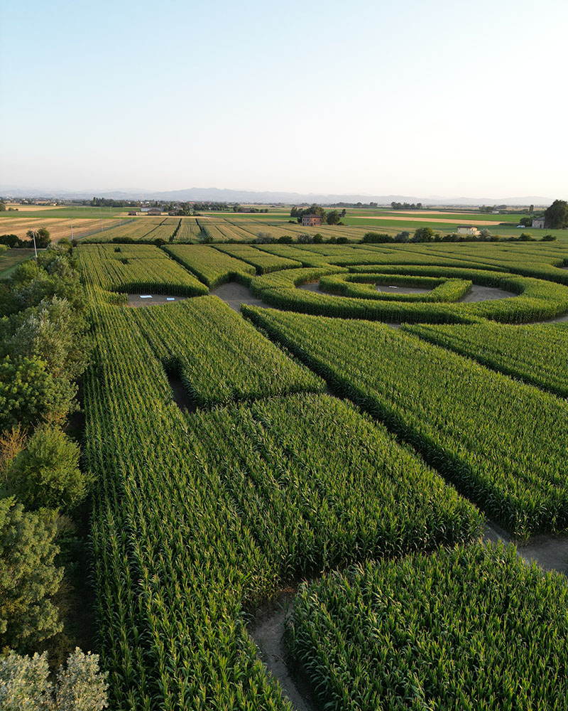 Labirinti di mais, Crop Circles