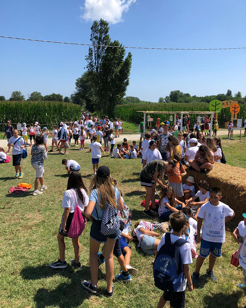 Labirinto di Hort, Marche, attività per famiglie