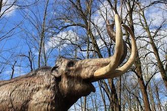 auronzo di cadore dinosauri