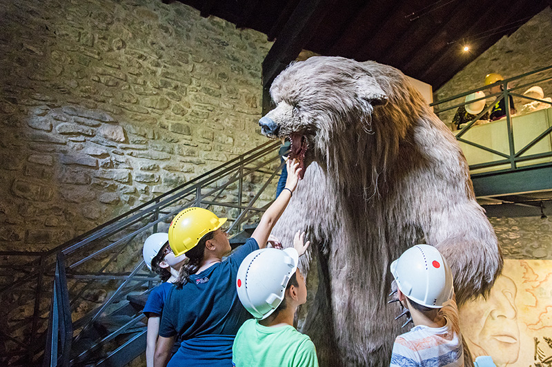 Grotte di Equi, l'orso delle Caverne al museo