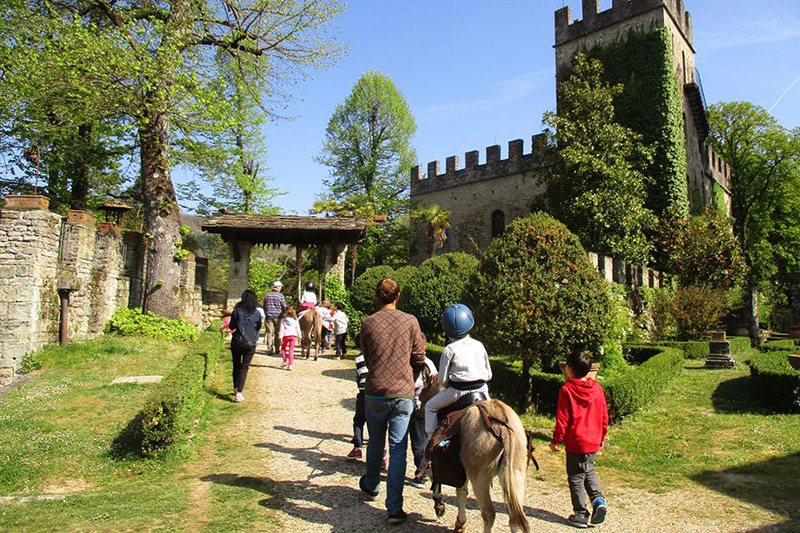 Trekking someggiato nelle Foreste Casentinesi con gli Amici dell'Asino