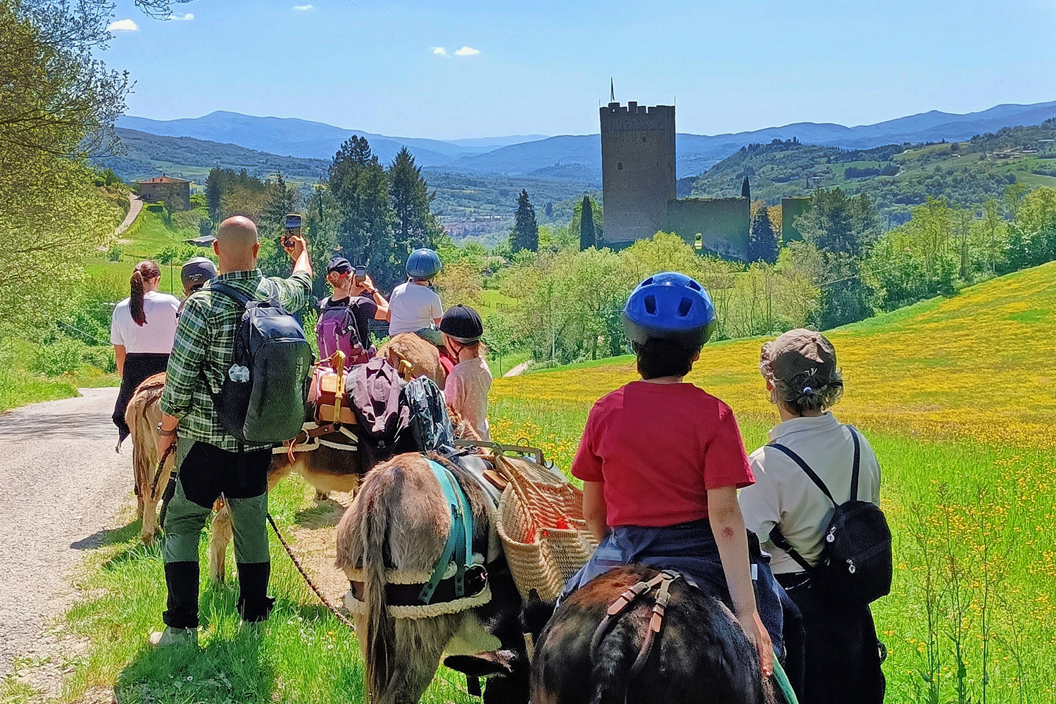 Trekking someggiato nelle Foreste Casentinesi con gli Amici dell'Asino