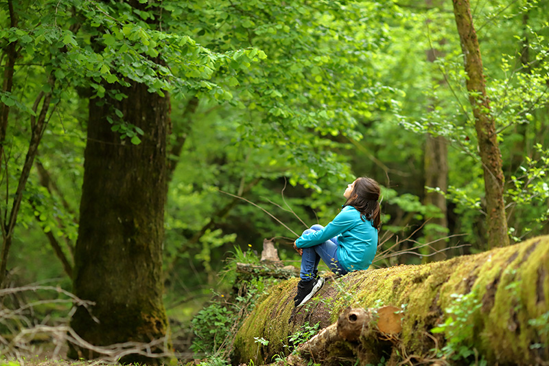 Notte nel bosco family al Canyon Park