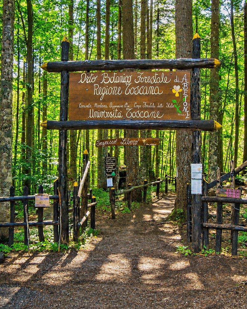 Orto botanico forestale sull'Abetone