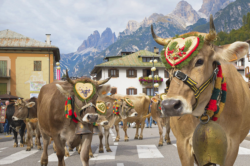 Desmonteada © Cons. Turistico Tre Cime