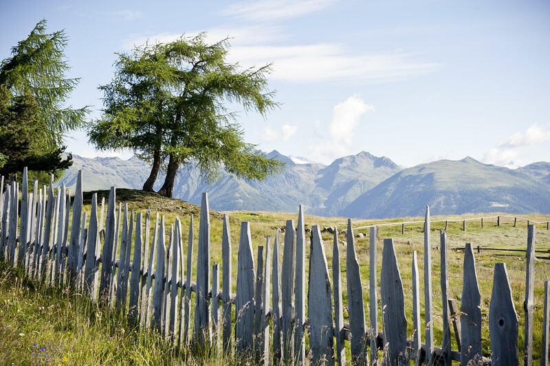 Area Vacanze Sci e Malghe Rio Pusteria