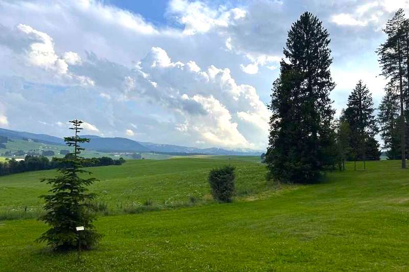 asiago millepini parco
