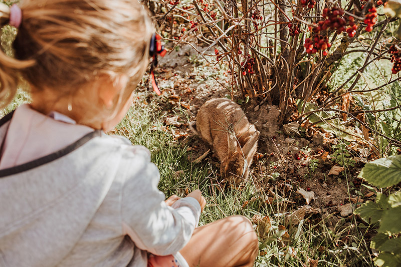 Hotel Das Mühlwald con i bambini in Alto Adige, coniglietto allo zoo interno