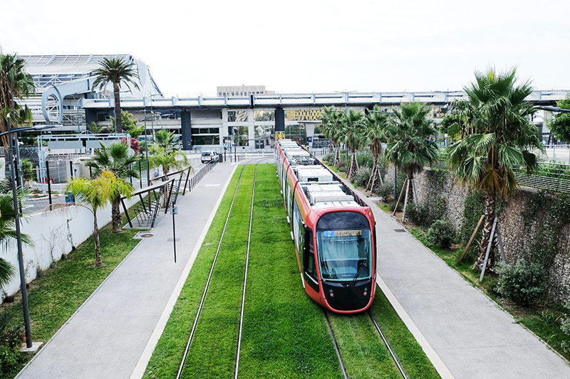 Tram © D. Rotasperti