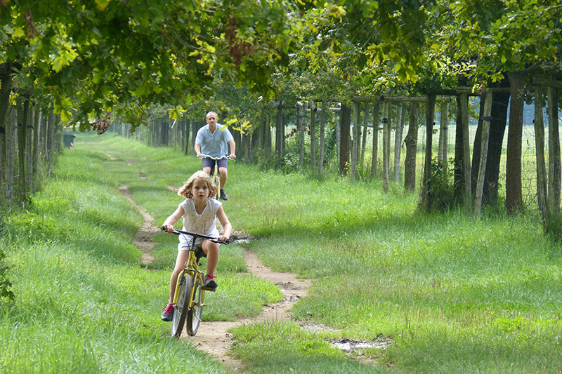 Parchi del Piemonte. Parco La Mandria