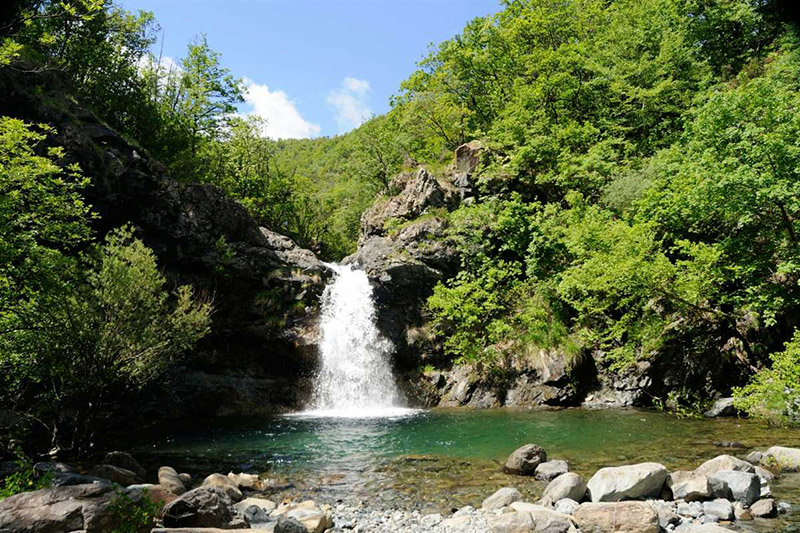 Parchi del Piemonte. Parco Naturale Capanne di Marcarolo