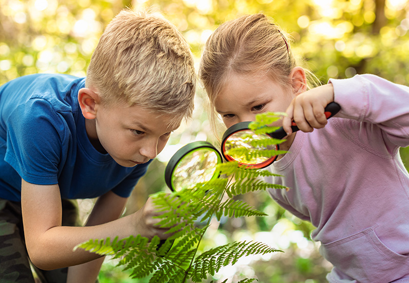 Attività nei Parchi del Piemonte con i bambini, laboratori botanici