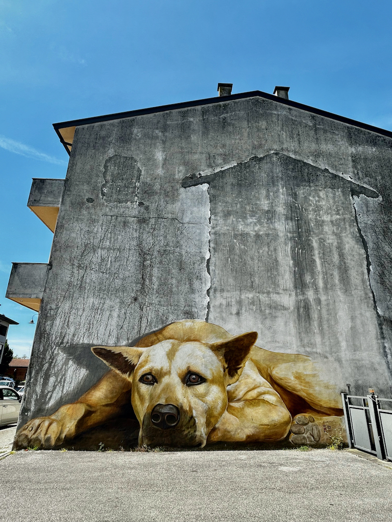 murales torre di pordenone