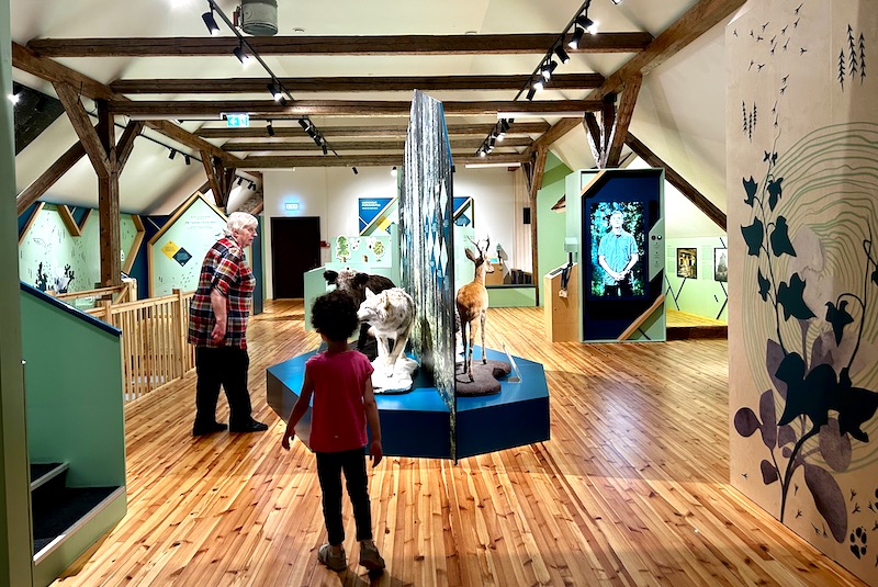 Museo della foresta sagadi manor