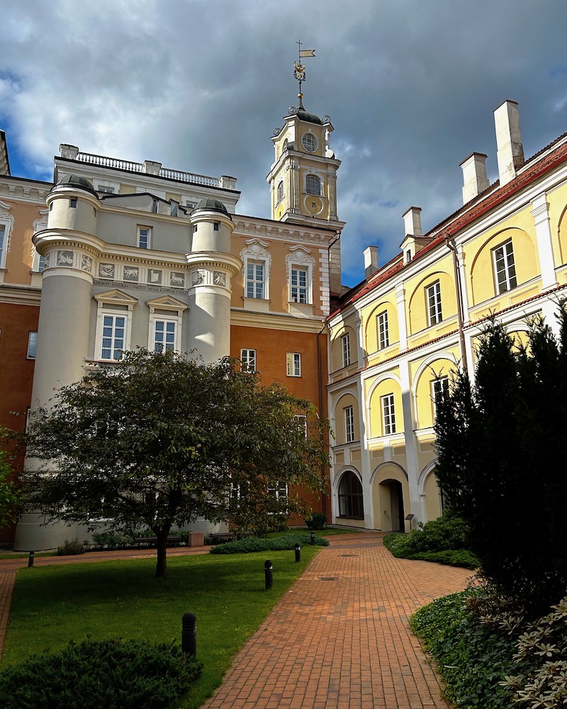 cortili università Vilnius