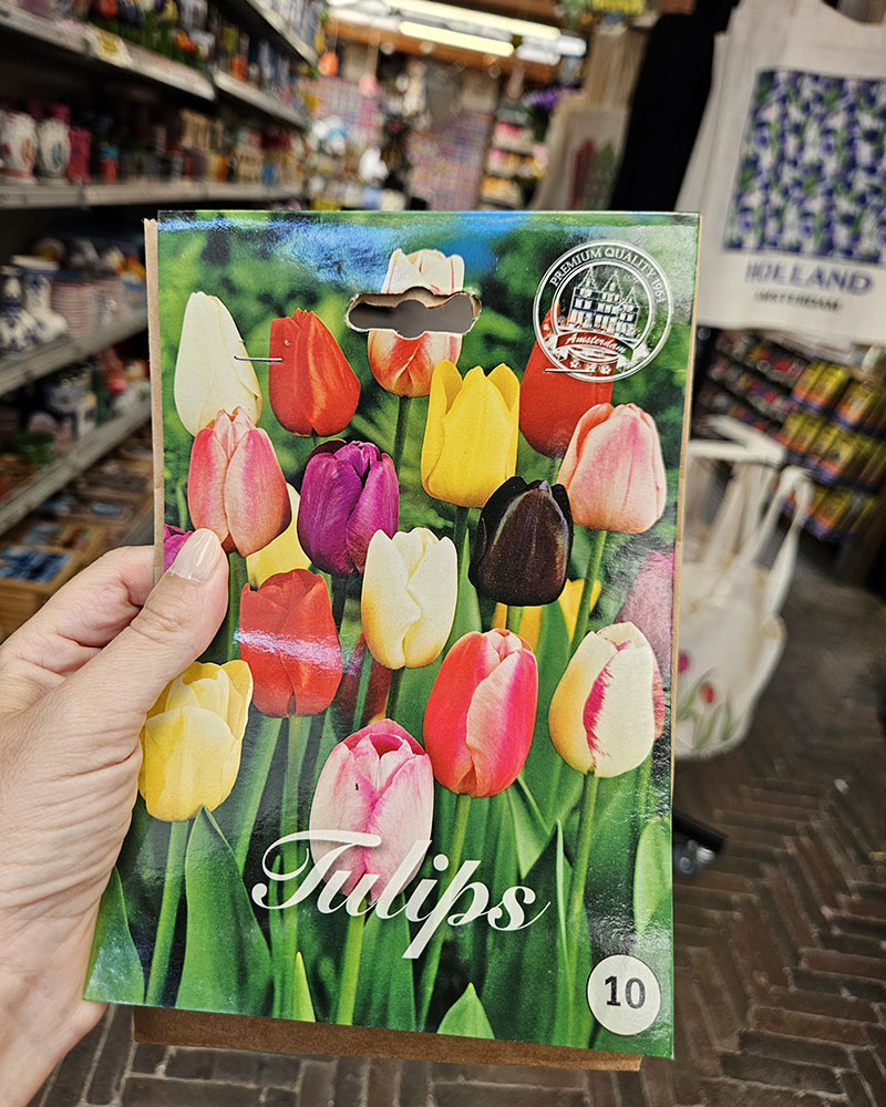Mercato dei fiori di Amsterdam, tulipani