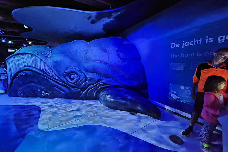 Museo Marittimo di Amsterdam, percorso delle balene