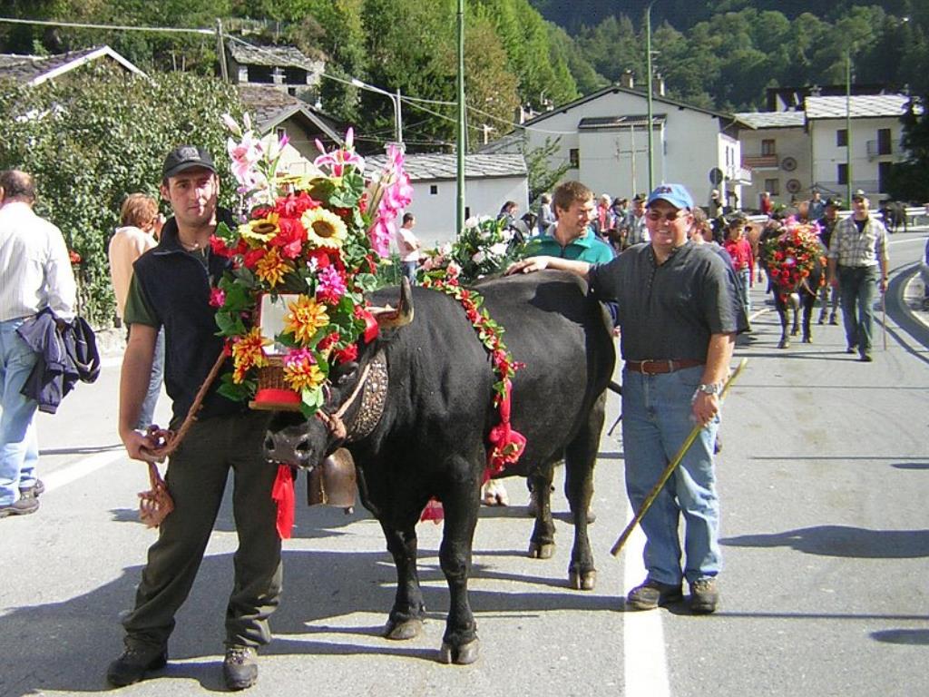 Transumanza feste: Valle d'Aosta