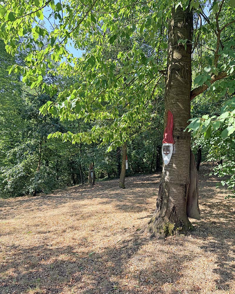 Gnomi nel Bosco Incantato