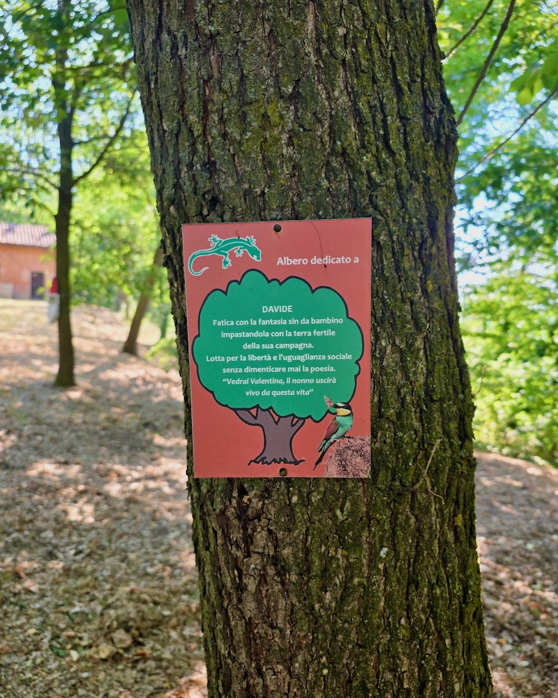 Il Bosco Incantato