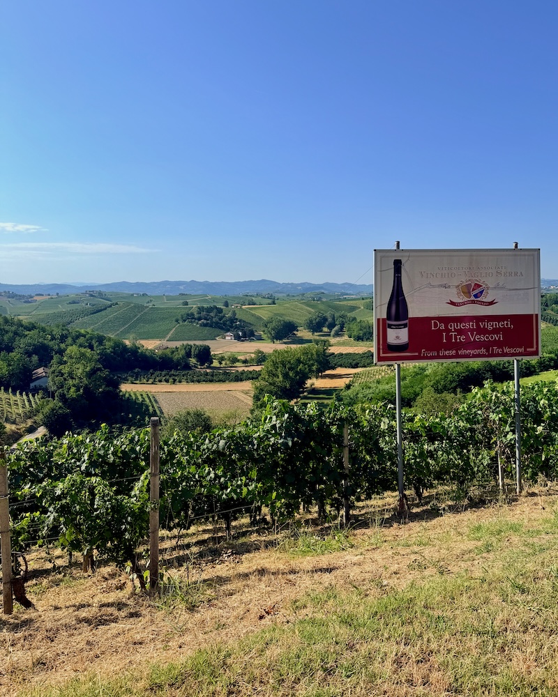 Panorama dalla cantina Vinchio Vaglio