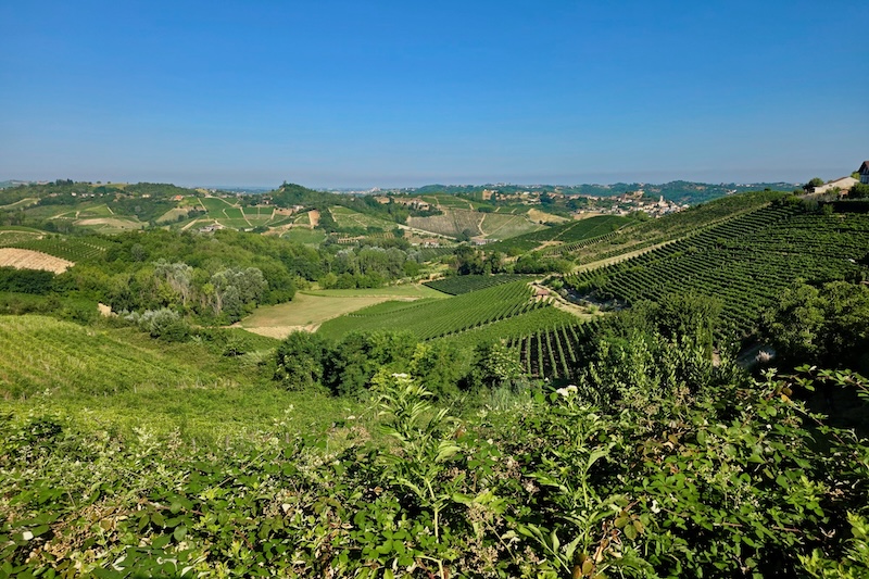 Monferrato con i bambini, panorama