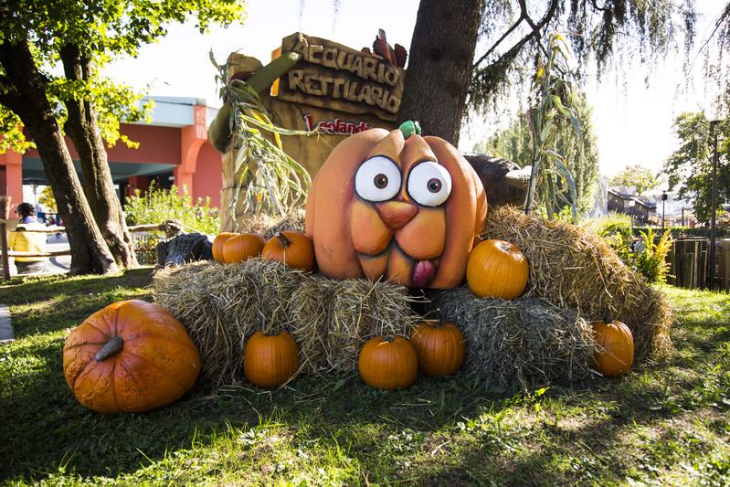 .Leolandia: HalLEOween