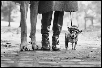 ELLIOTT ERWITT L'ARTE DI OSSERVARE