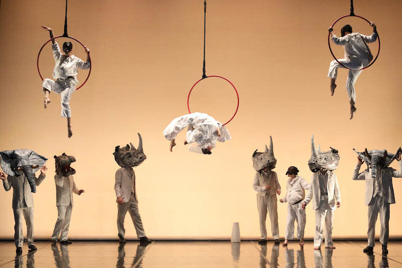 acrobati titizè teatro goldoni venezia