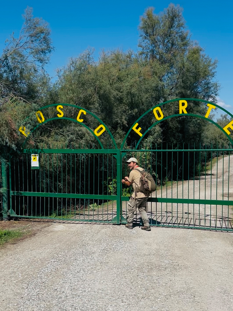 Bosco Forte