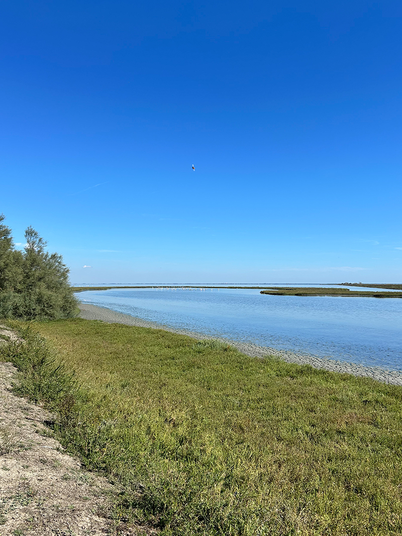 Ciclovia delle Valli di Comacchio
