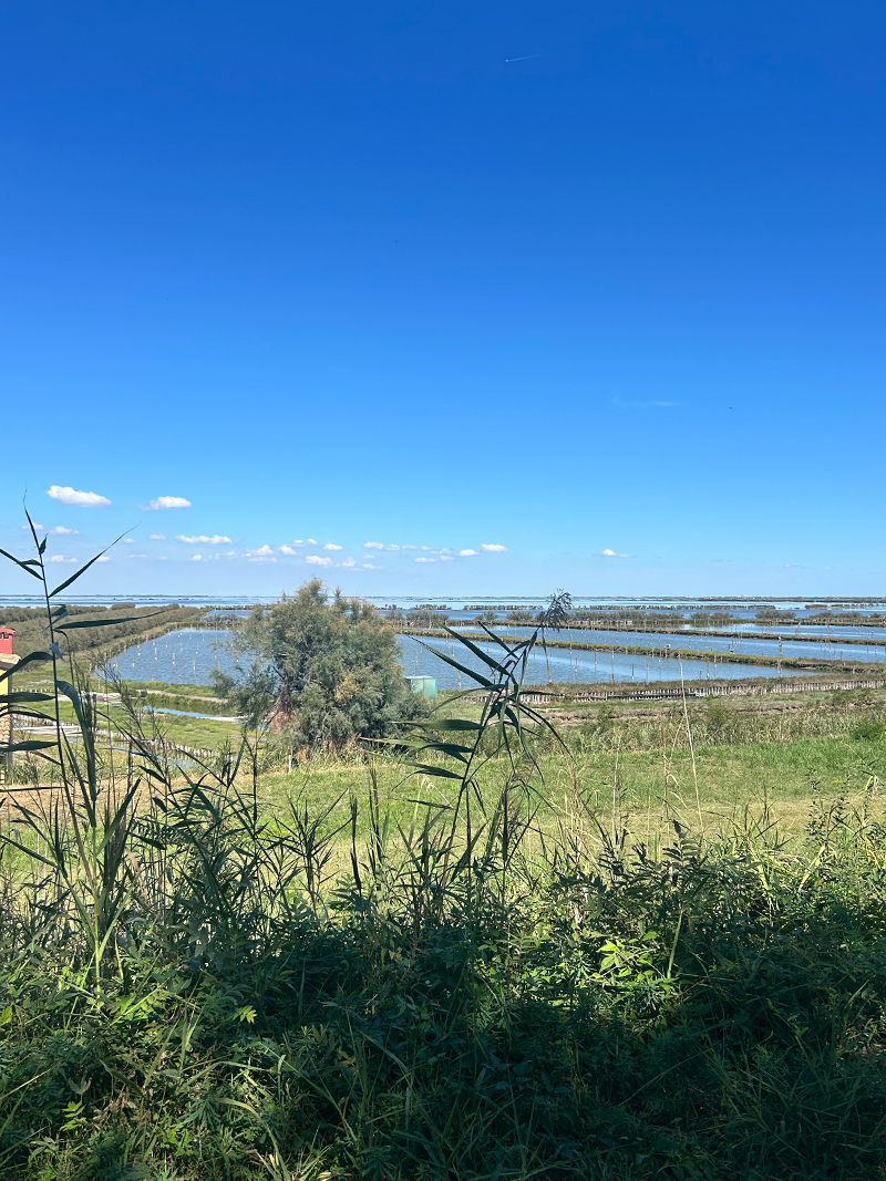 Itinerario ad anello, Ciclovia delle Valli di Comacchio