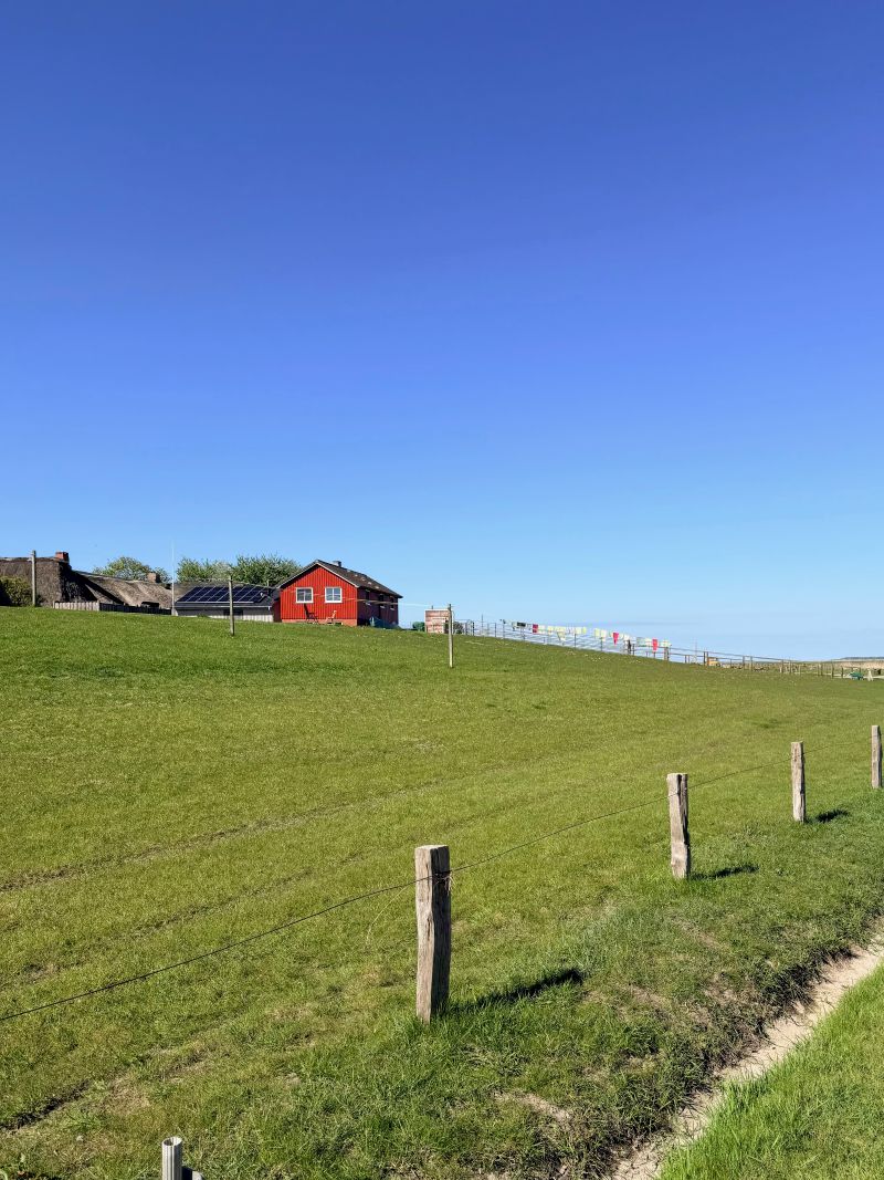 Le caratteristiche colline artificiali delle Halligen