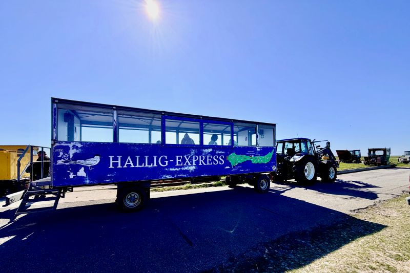 L’Hallig Express sulle isole Halligen