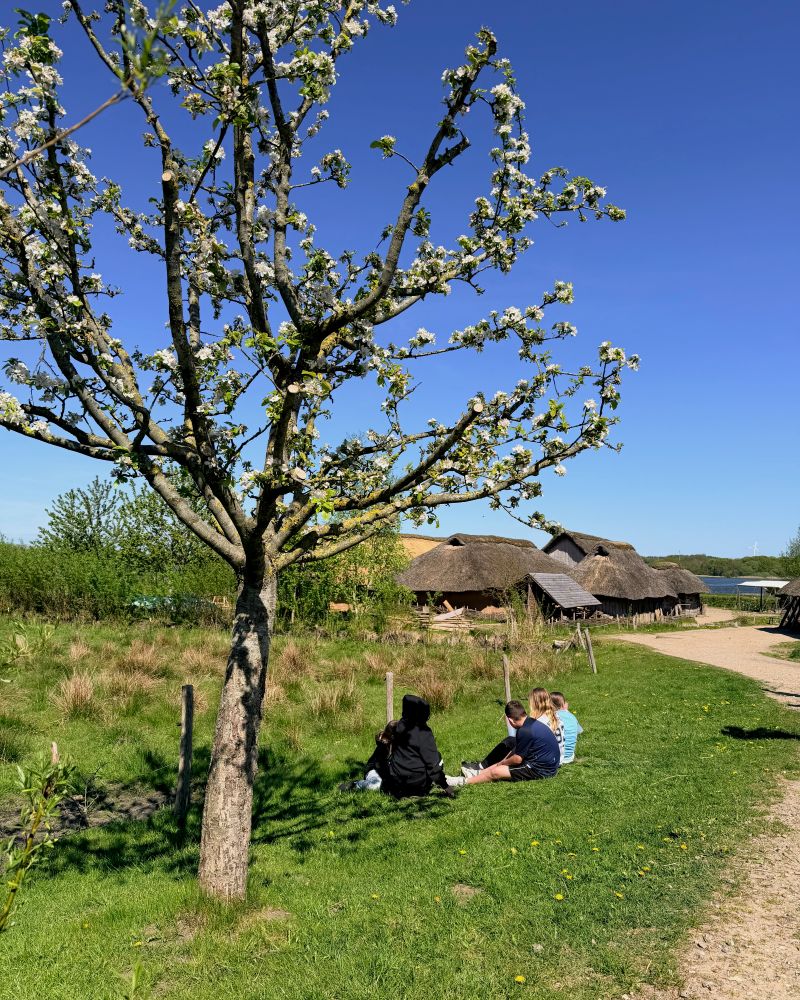 Il villaggio vichingo di Haithabu
