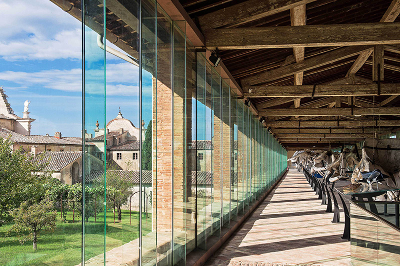 Galleria dei Cetacei al Museo di storia naturale dell'Università di Pisa a Calci