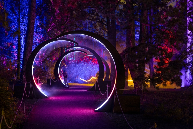 Christmas Garden all'Orto Botanico di Roma © Christmas Garden_Michael Clemens