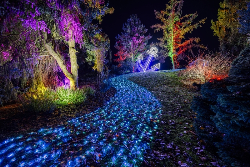 Christmas Garden all'Orto Botanico di Roma ©Christmas Garden_Rainer Keuenhof