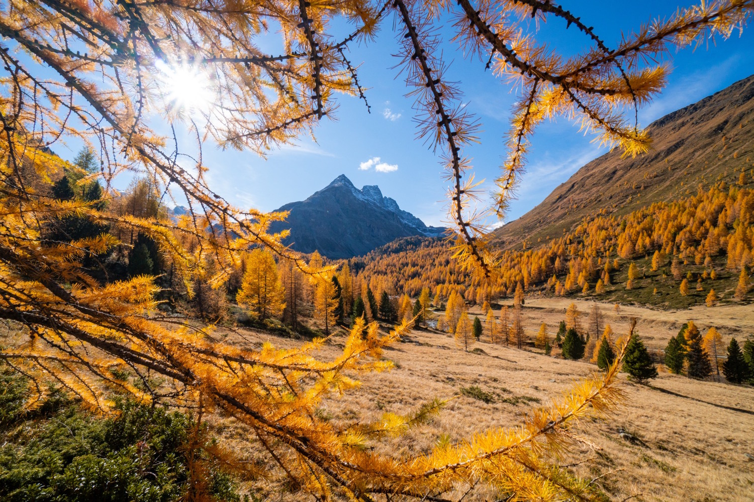 Val Viola in autunno