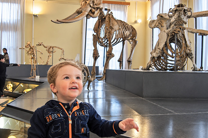 Museo Civico di Zoologia con bambini piccoli
