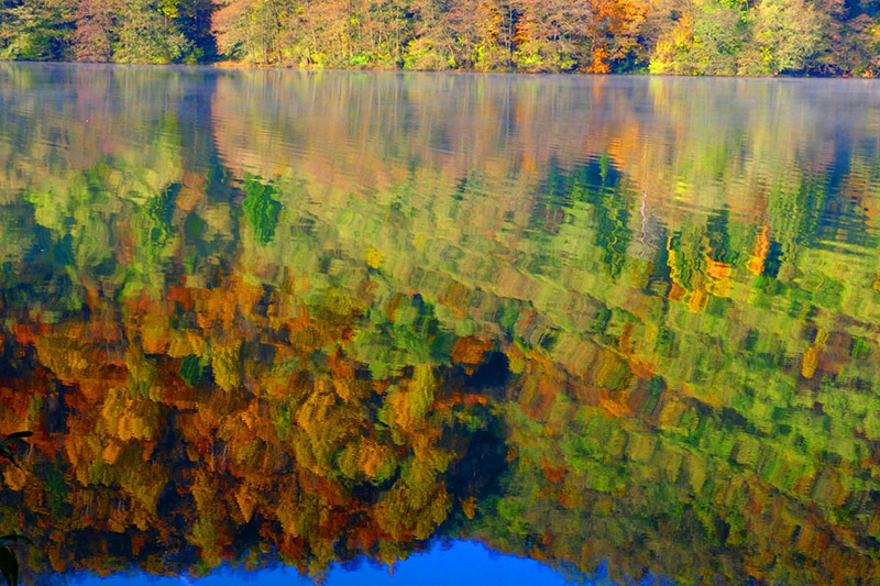 Foliage ai laghi in Valsugana
