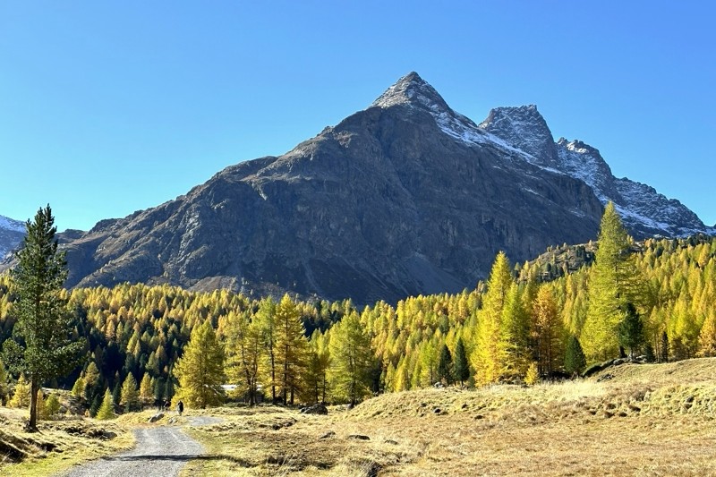 Val Viola sentiero